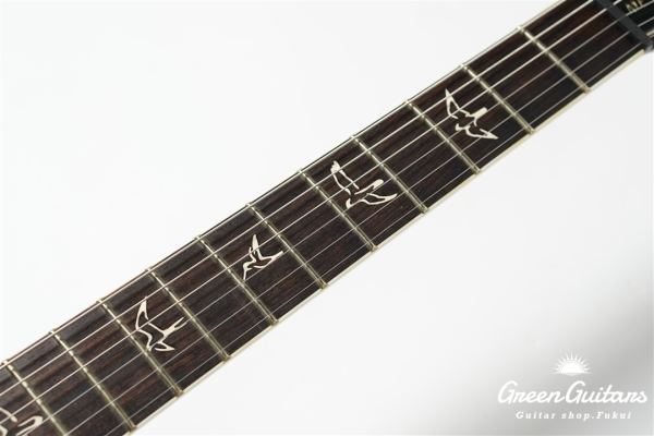 Modern Eagle II 25th Anniversary - Amber【SMO2026】